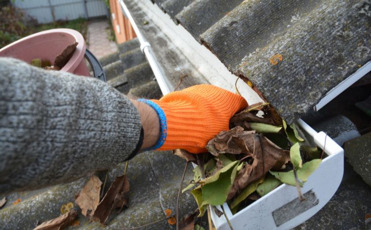 Common Gutter Problems Homeowners Face in Fenton, MO