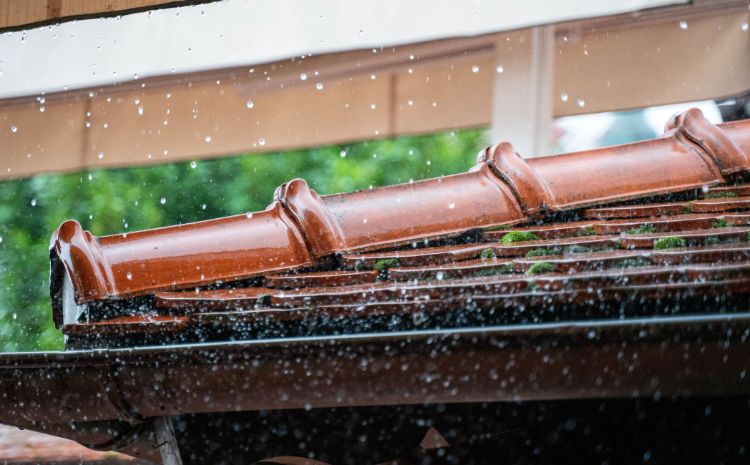 Gutter Problems That Destroy Foundations (Check Before the Leaves Fall)