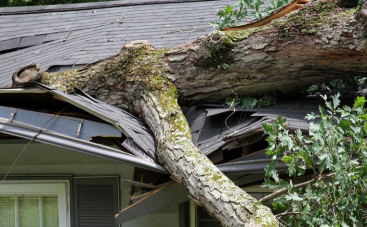 How Storm Damage Affects Your Roof in Fenton, MO