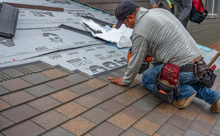 Summer Heat and Your St. Louis Roof: What 95°F Days Actually Do to Your Shingles