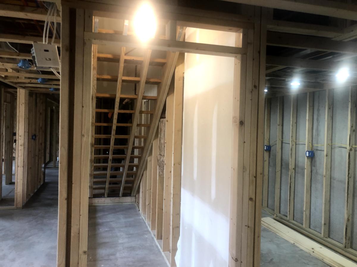 Basement, High Ridge, MO — project photo 19