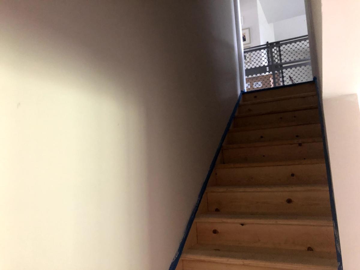 Basement, High Ridge, MO — project photo 29