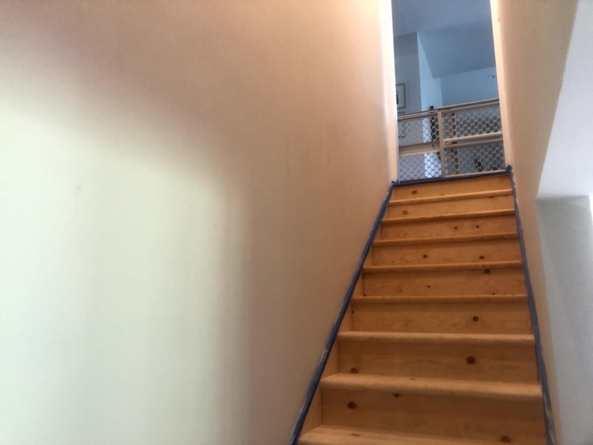 Basement, High Ridge, MO — project photo 33