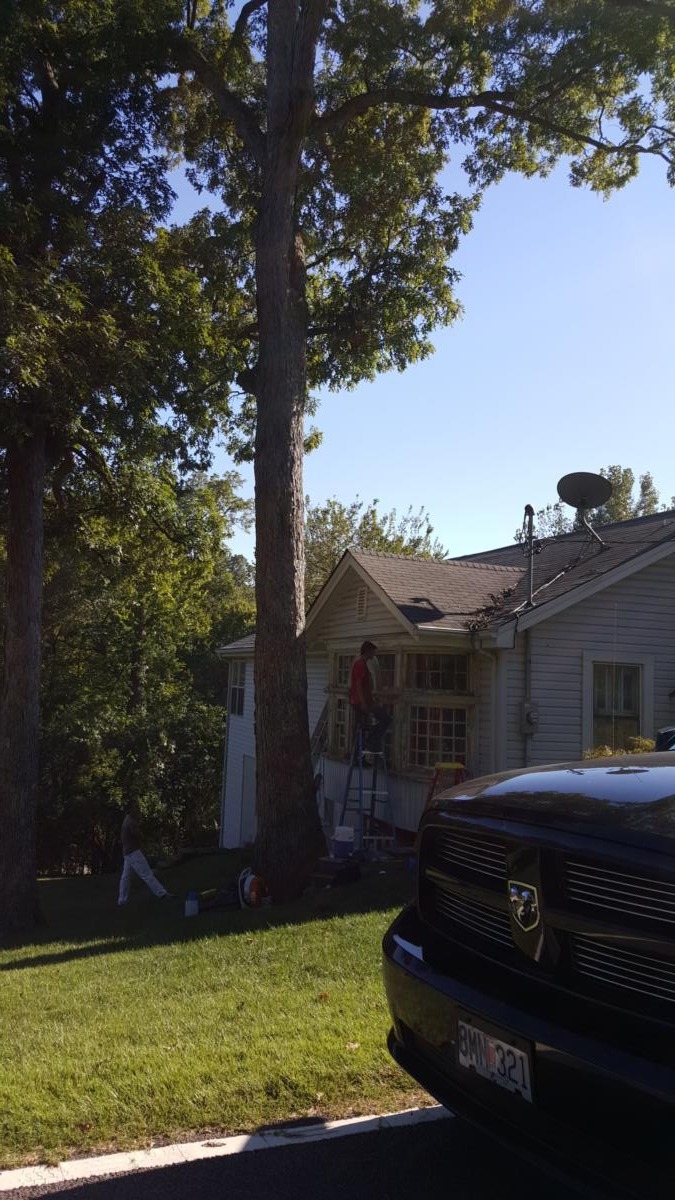 Historical Window, Sunset Hills, MO — project photo 14