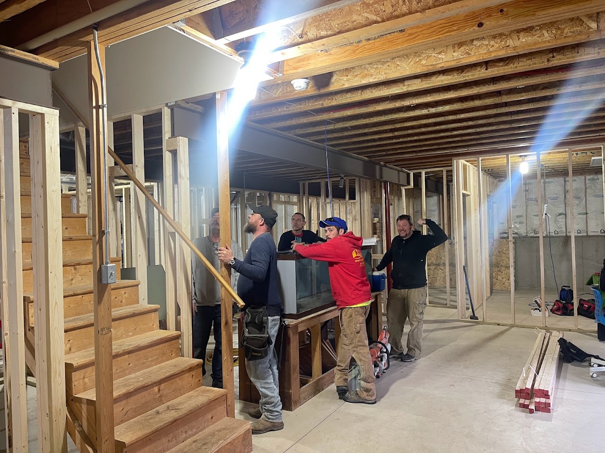 MR, Lambiase Basement — project photo 13