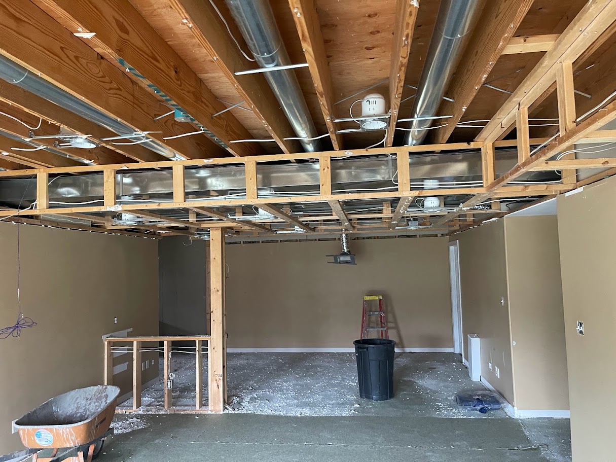 MS, Johnston Basement — project photo 4