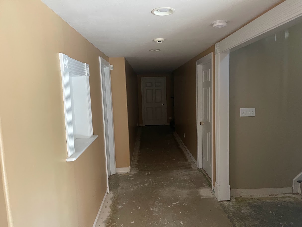 MS, Johnston Basement — project photo 13
