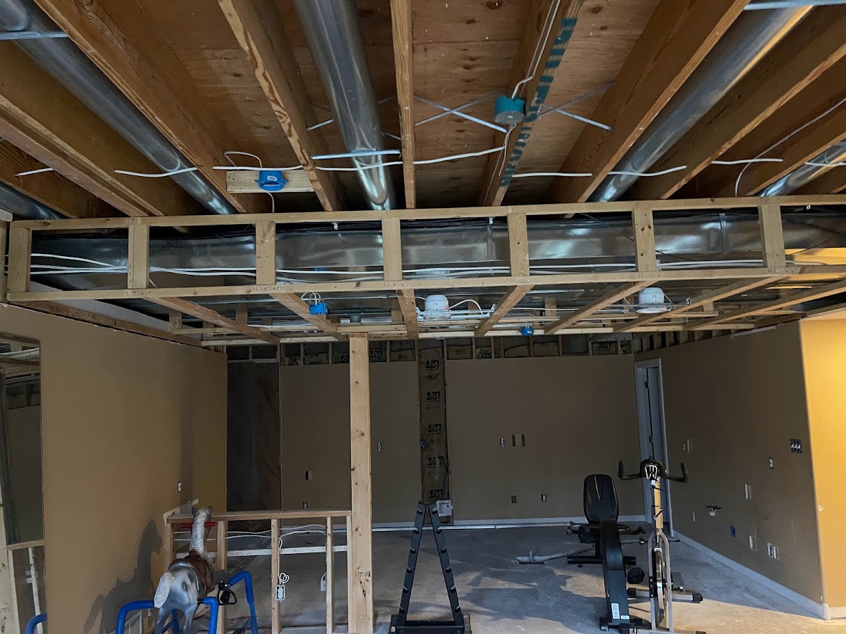 MS, Johnston Basement — project photo 34