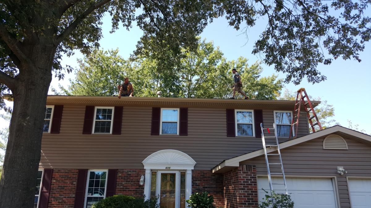Siding, Gutters, Soffit, Fascia, Garage & Inside Stairs, Valley Park, MO — project photo 16