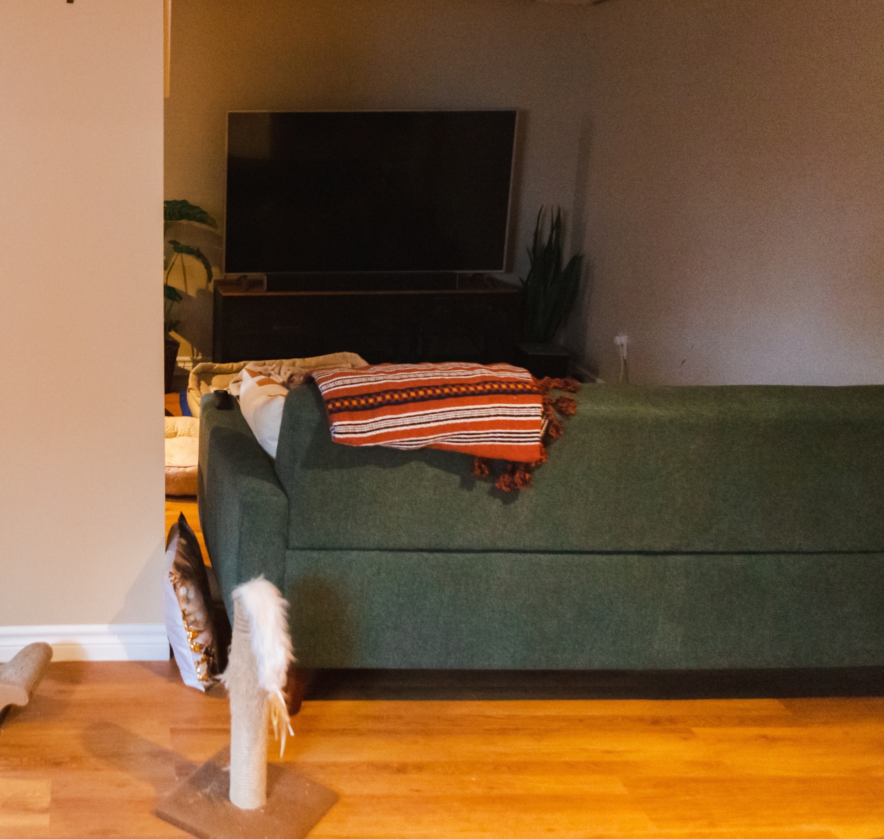 Basement Finishing project photo 2